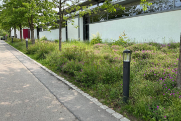 Castor Poller, Bulmare Burglengenfeld