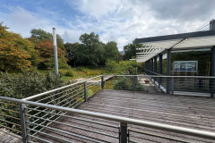 Design ohne Titel - 1