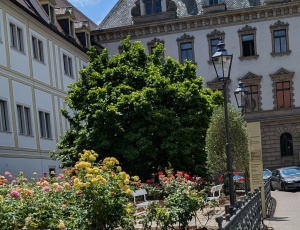 Schloss St. Emmeram, Thurn und Taxis