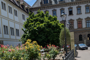 Schloss St. Emmeram, Thurn und Taxis
